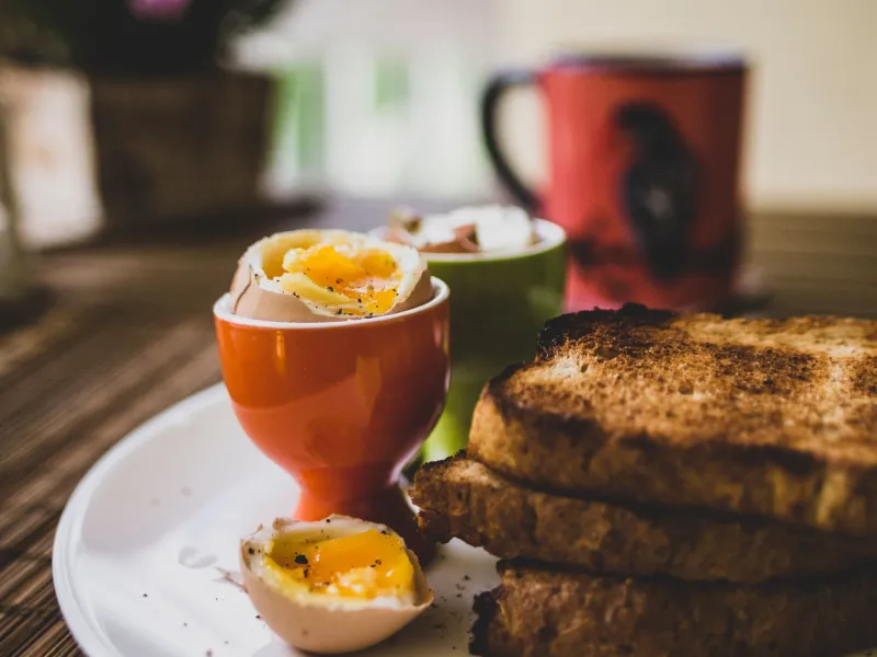 What If Breakfast Was the Most Honest Part of Your Day?