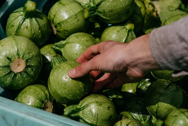When Thank You Becomes Your Secret Ingredient